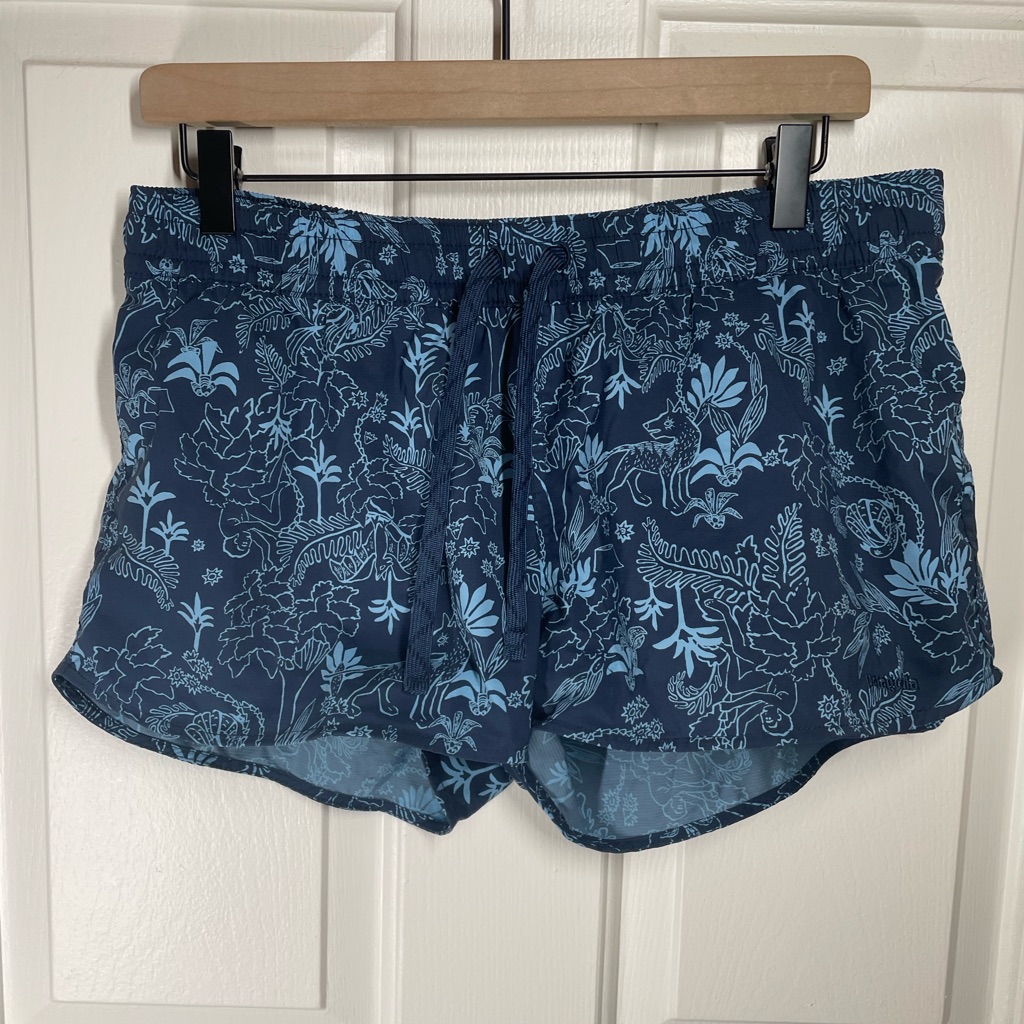 Patagonia Benn Shorts Sz M